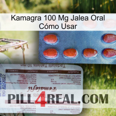 Kamagra 100 Mg Jalea Oral Cómo Usar 36